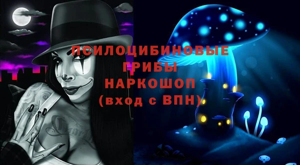ГАЛЛЮЦИНОГЕННЫЕ ГРИБЫ Баксан