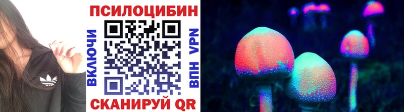 hydra вход Бобров Галлюциногенные грибы Psilocybe купить наркотик